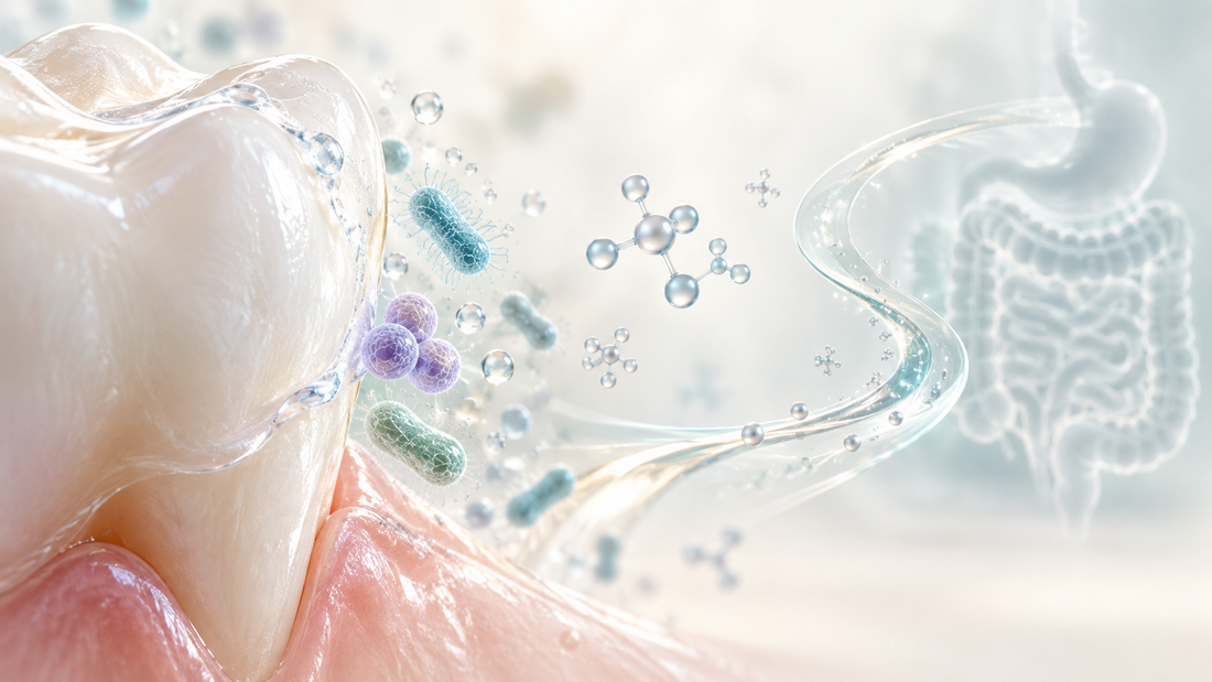 Galactose and the Oral Prebiotic Idea